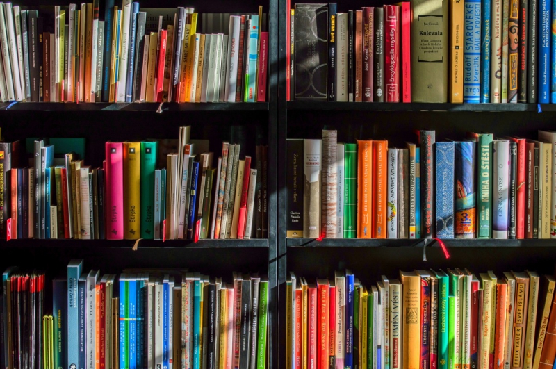 vitrine-AUPS-min_books_bookstore_book_reading_shop_writer_sale_books_read-822866
