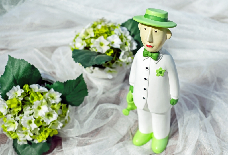 vitrine-AUPS-min_man-person-flower-green-toy-fig-546529-pxhere.com